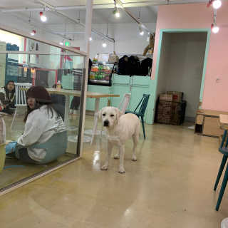 윰쨕님이 올린 리뷰 사진 2