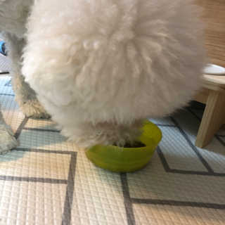 윤토마토님이 올린 리뷰 사진 4