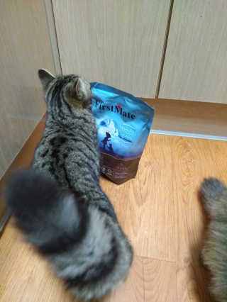 Erika님이 올린 리뷰 사진 2