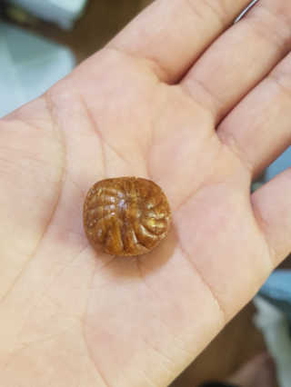 왕의님이 올린 리뷰 사진 3