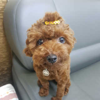 뽐님이 올린 리뷰 사진 4