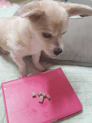 moomoon님이 올린 리뷰 사진 4