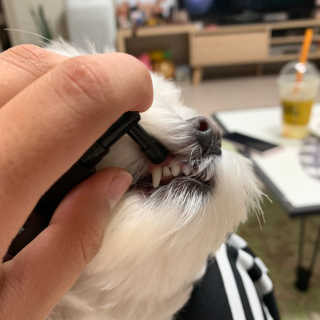 뜽혜님이 올린 리뷰 사진 2