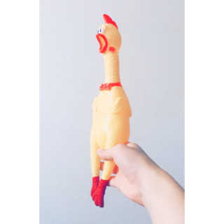 오연서님이 올린 리뷰 사진 2