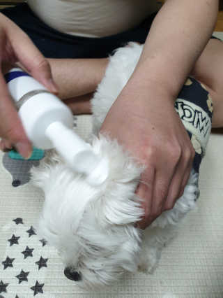 승승맘님이 올린 리뷰 사진 2