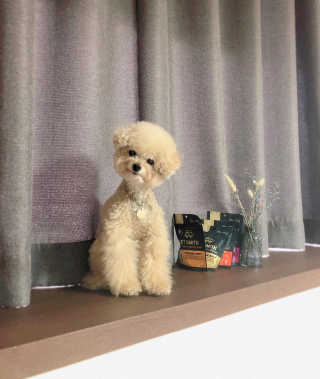 NINI님이 올린 리뷰 사진 2