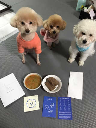 [어글어글] 반려견 친환경 간식 9종 세트 — 5점을 준 리뷰어가 2020년 1월 올린 사용 사진