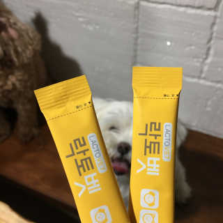 ㄴ모오러님이 올린 리뷰 사진 1
