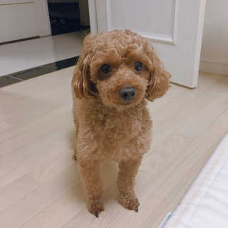 알럽마셆님이 올린 리뷰 사진 2