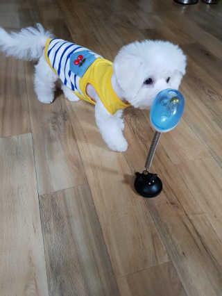 짬뽕이누나님이 올린 리뷰 사진 2