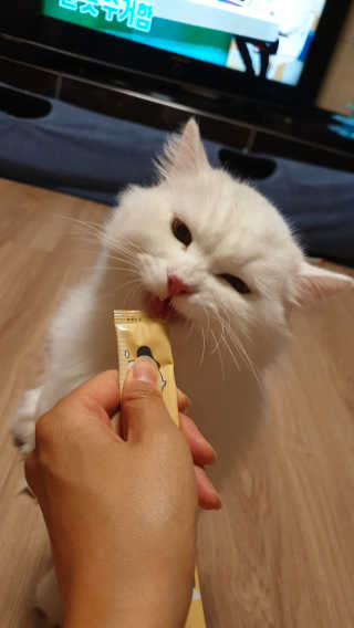 [펫토리아]짜먹는 한입뚝딱 강아지.고양이 마약간식 — 5점을 준 리뷰어가 2019년 8월 올린 사용 사진