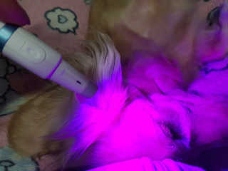 5_daks님이 올린 리뷰 사진 3