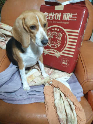 beaglelove님이 올린 리뷰 사진 1