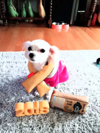 이수진님이 올린 리뷰 사진 2