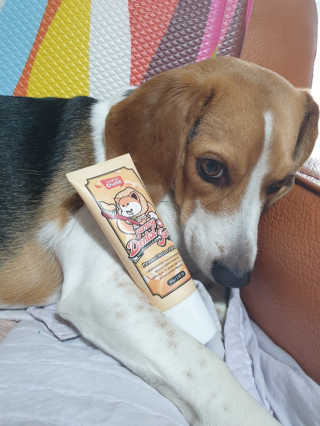 beaglelove님이 올린 리뷰 사진 1