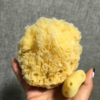 룰라러브 모공관리 끝 지중해산 천연해면 바디스펀지 — 5점을 준 리뷰어가 2018년 4월 올린 사용 사진