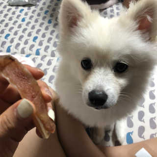챠우쁀쁀님이 올린 리뷰 사진 3