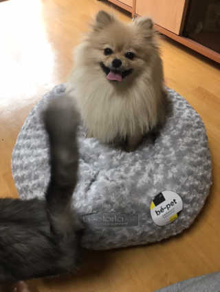 민토리님이 올린 리뷰 사진 1