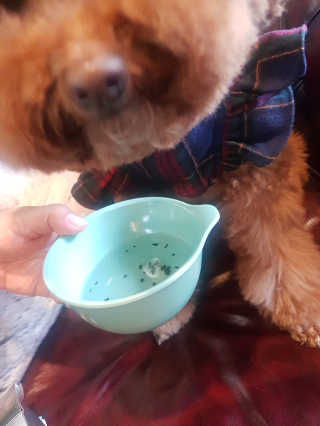쪼꼬짱님이 올린 리뷰 사진 1