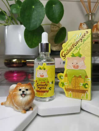 Peepingpomeranian님이 올린 리뷰 사진 1