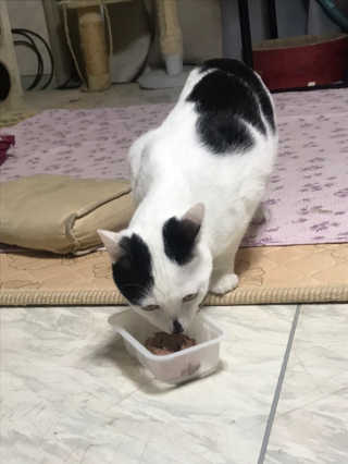 김민선님이 올린 리뷰 사진 2