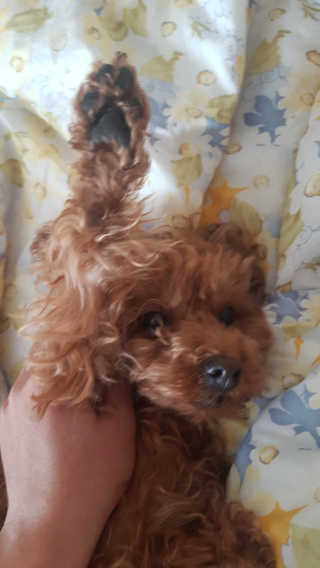 부우님이 올린 리뷰 사진 1