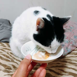 한라봉님이 올린 리뷰 사진 4