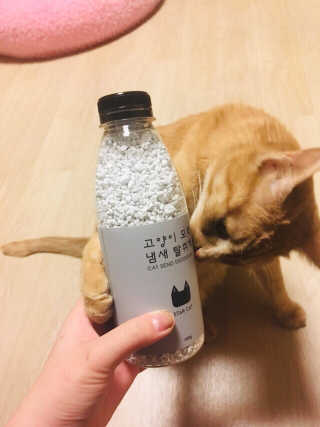 탕이맘님이 올린 리뷰 사진 4