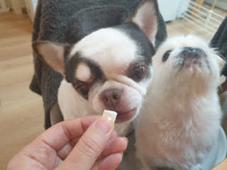 mini unni님이 올린 리뷰 사진 3
