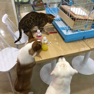 블랙바닐라님이 올린 리뷰 사진 2