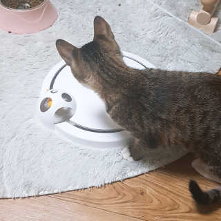 시나마나애영님이 올린 리뷰 사진 1