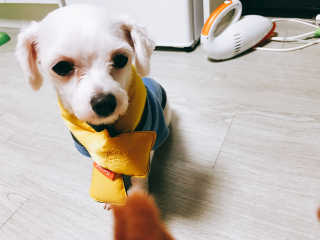 Underwater님이 올린 리뷰 사진 2