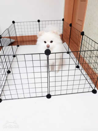 쉬셈님이 올린 리뷰 사진 2
