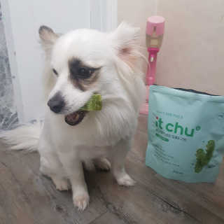 에일린님이 올린 리뷰 사진 2