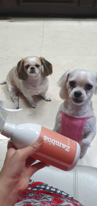 페티앙님이 올린 리뷰 사진 3