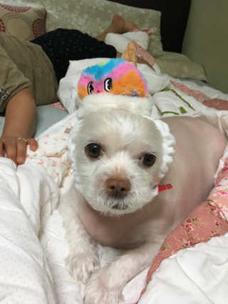 NaraLee님이 올린 리뷰 사진 1