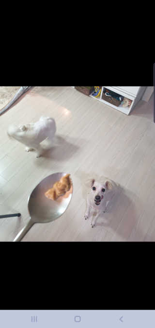 엣헴님이 올린 리뷰 사진 4