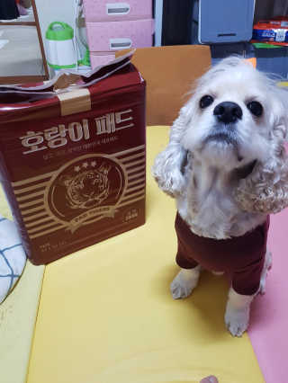 조소민님이 올린 리뷰 사진 1