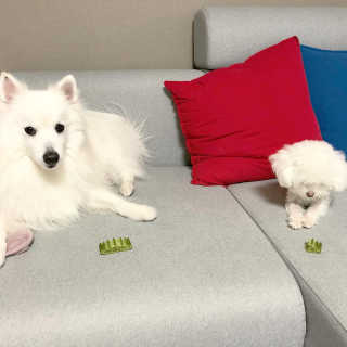 sjh3876님이 올린 리뷰 사진 2