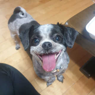 가횽님이 올린 리뷰 사진 3