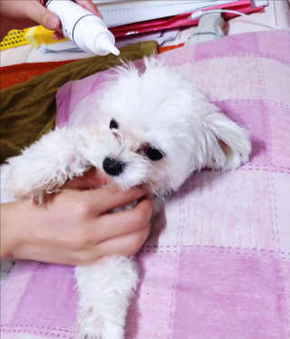 요술공주밍키님이 올린 리뷰 사진 2
