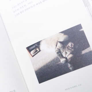 jemjug님이 올린 리뷰 사진 4