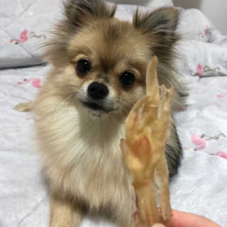 Ariel님이 올린 리뷰 사진 3