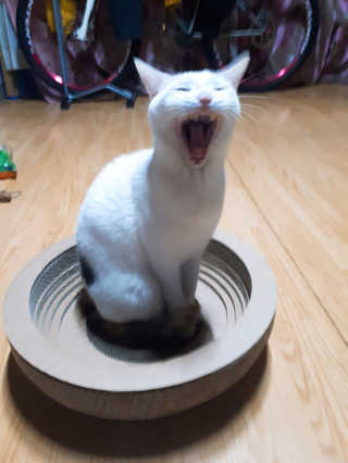 홍지은님이 올린 리뷰 사진 3
