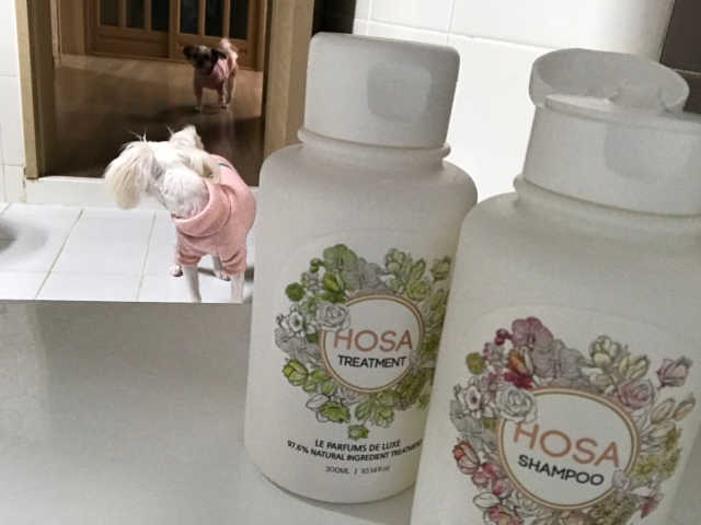 HOSA SHAMPOO+TREATMENT 리뷰 사진