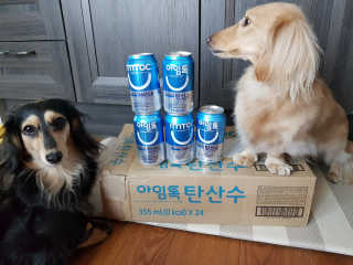 5_daks님이 올린 리뷰 사진 4