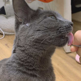 윤블님이 올린 리뷰 사진 2
