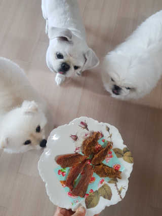 jewel1994님이 올린 리뷰 사진 2