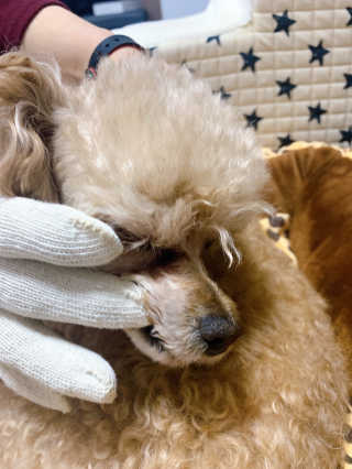 랑이님이 올린 리뷰 사진 2