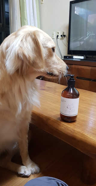 융님이 올린 리뷰 사진 1